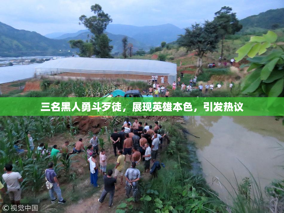 三名黑人勇斗歹徒，展现英雄本色，引发热议