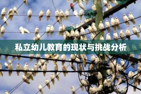 私立幼儿教育的现状与挑战分析
