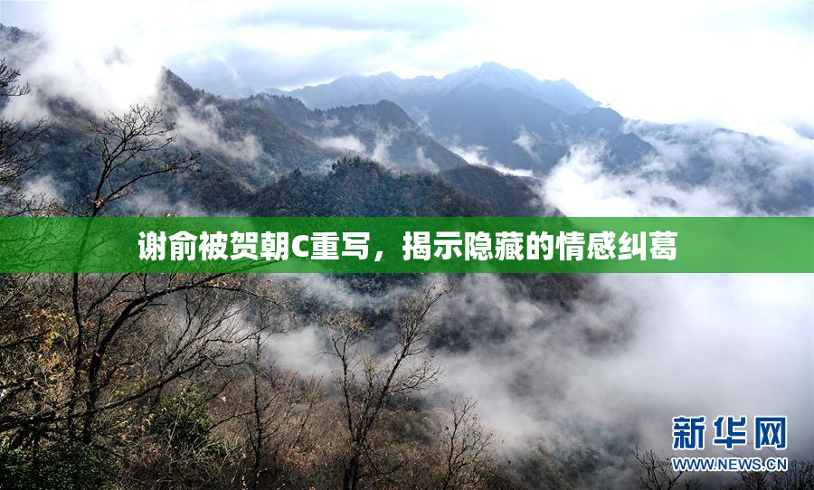 谢俞被贺朝C重写，揭示隐藏的情感纠葛