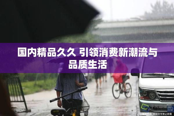 国内精品久久 引领消费新潮流与品质生活
