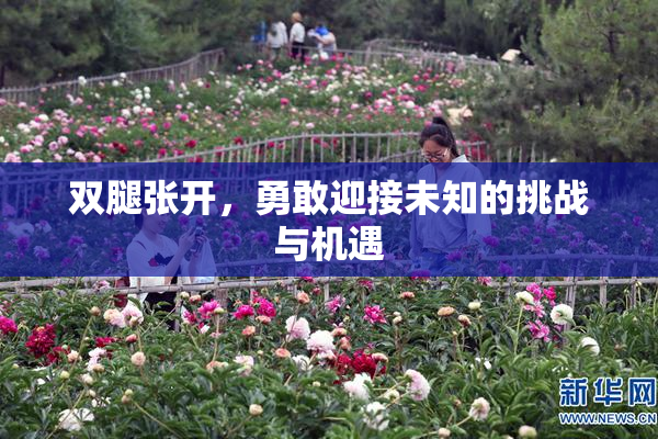 双腿张开，勇敢迎接未知的挑战与机遇