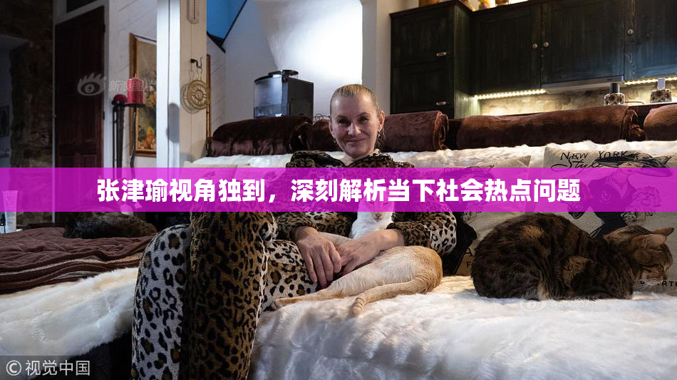 张津瑜视角独到，深刻解析当下社会热点问题