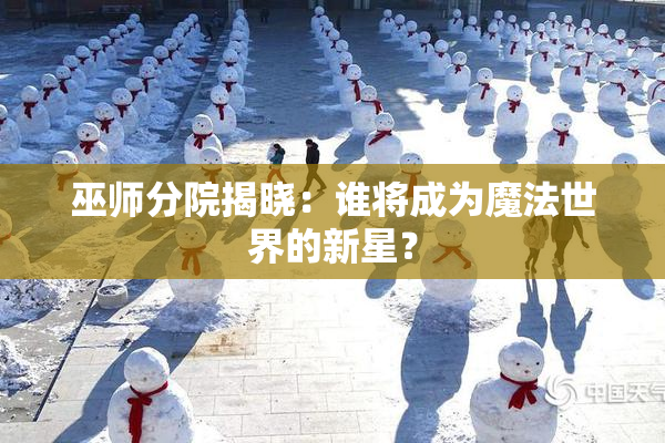巫师分院揭晓：谁将成为魔法世界的新星？