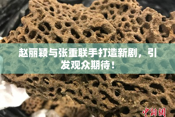 赵丽颖与张重联手打造新剧，引发观众期待！