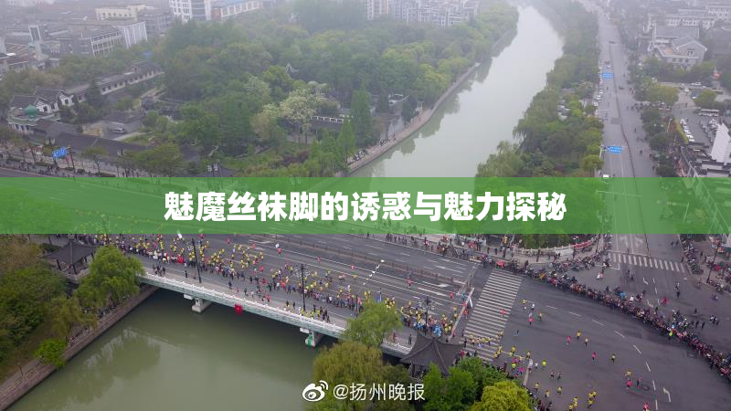 魅魔丝袜脚的诱惑与魅力探秘