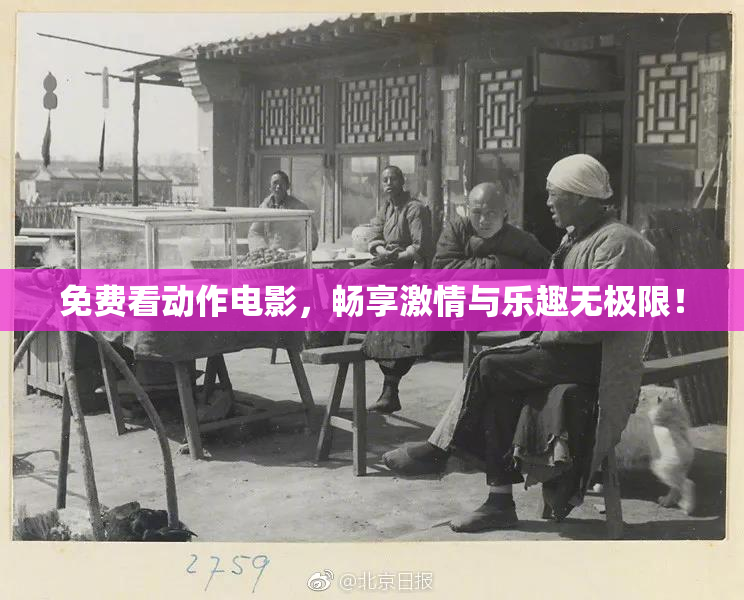 免费看动作电影，畅享激情与乐趣无极限！