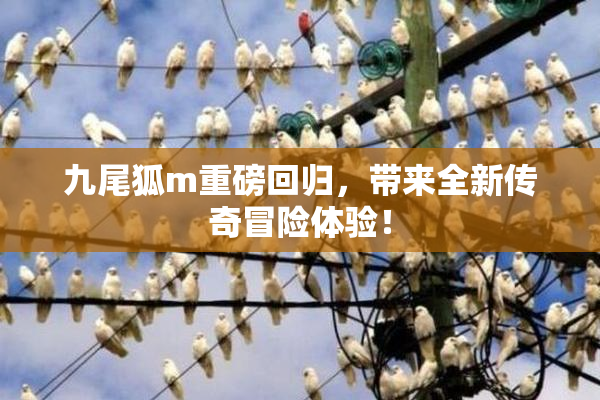九尾狐m重磅回归，带来全新传奇冒险体验！