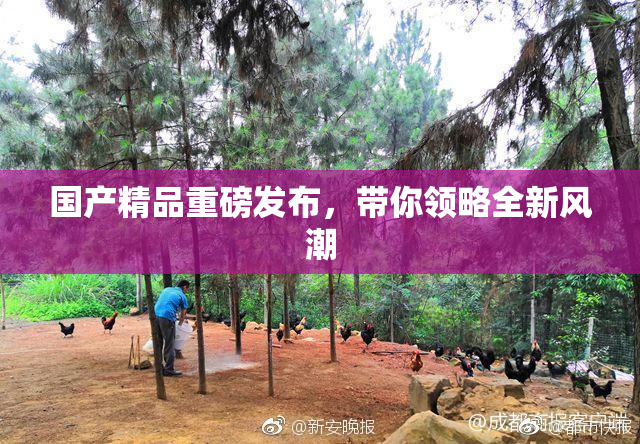 国产精品重磅发布，带你领略全新风潮