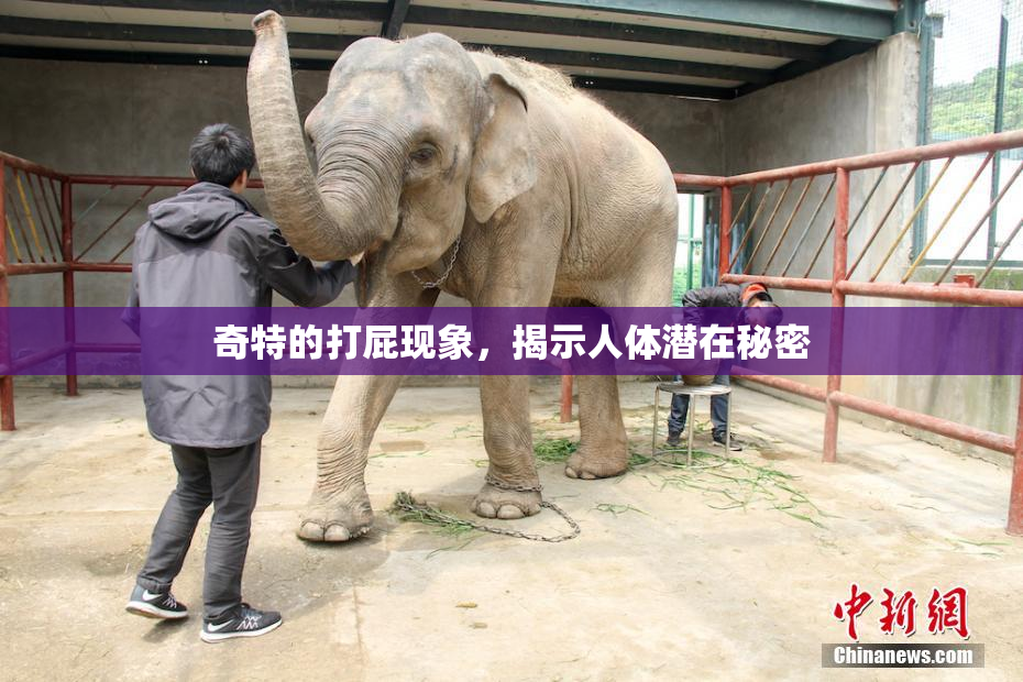 奇特的打屁现象，揭示人体潜在秘密