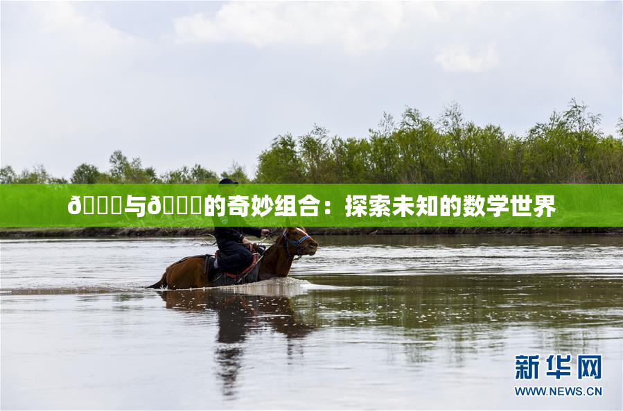 🍆与🔞的奇妙组合：探索未知的数学世界