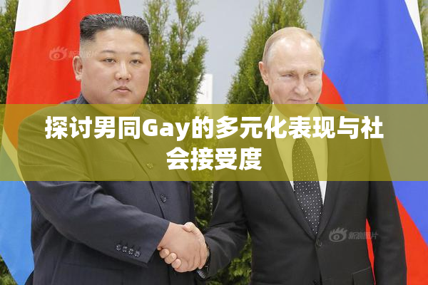 探讨男同Gay的多元化表现与社会接受度