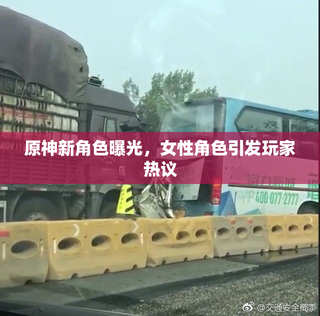 原神新角色曝光，女性角色引发玩家热议