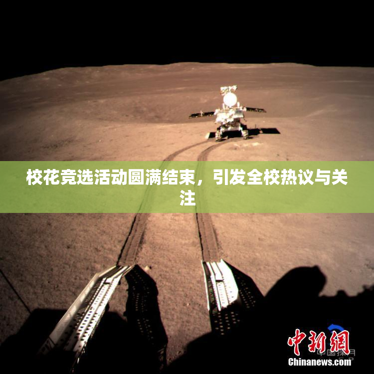 校花竞选活动圆满结束，引发全校热议与关注
