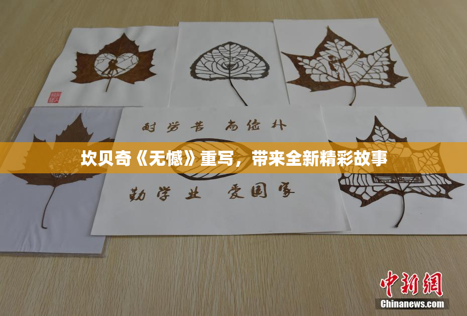 坎贝奇《无憾》重写，带来全新精彩故事