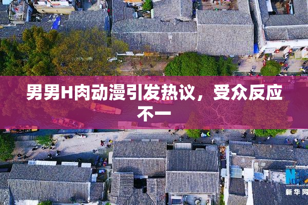 男男H肉动漫引发热议，受众反应不一