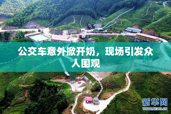公交车意外掀开奶，现场引发众人围观