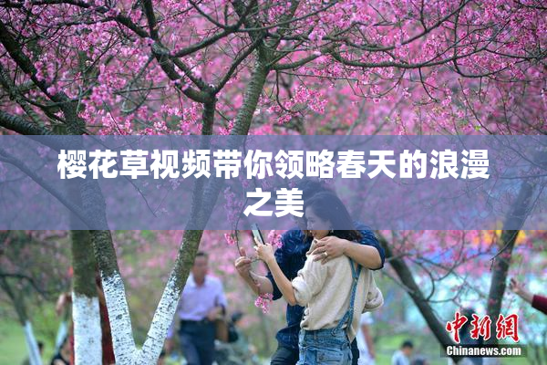 樱花草视频带你领略春天的浪漫之美