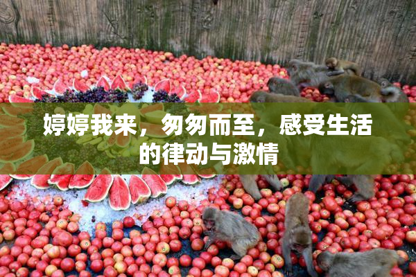 婷婷我来，匆匆而至，感受生活的律动与激情