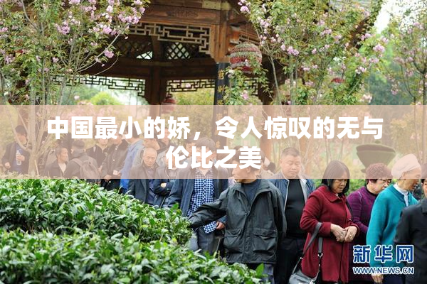 中国最小的娇，令人惊叹的无与伦比之美