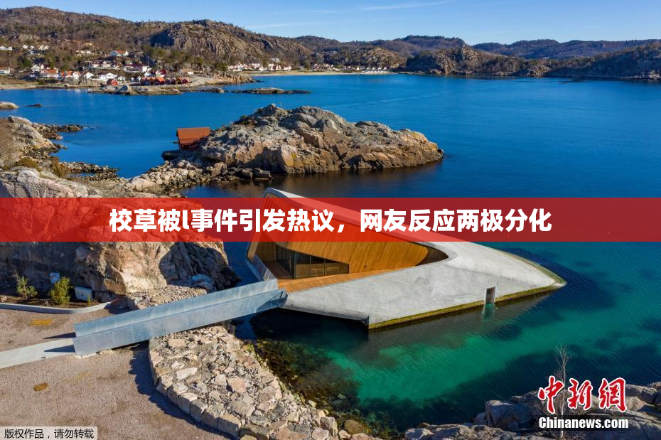 校草被l事件引发热议，网友反应两极分化