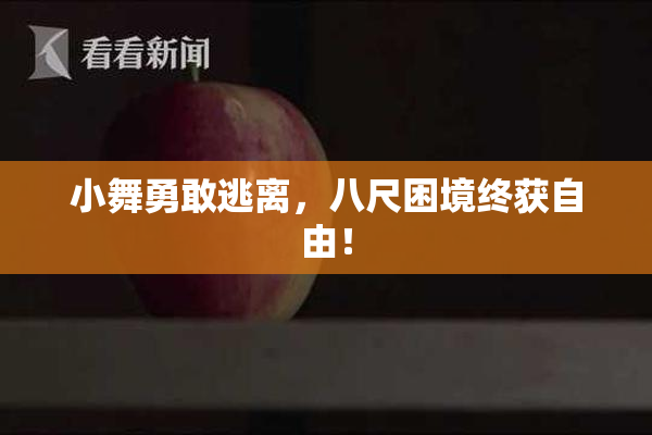 小舞勇敢逃离，八尺困境终获自由！