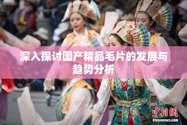 深入探讨国产精品毛片的发展与趋势分析