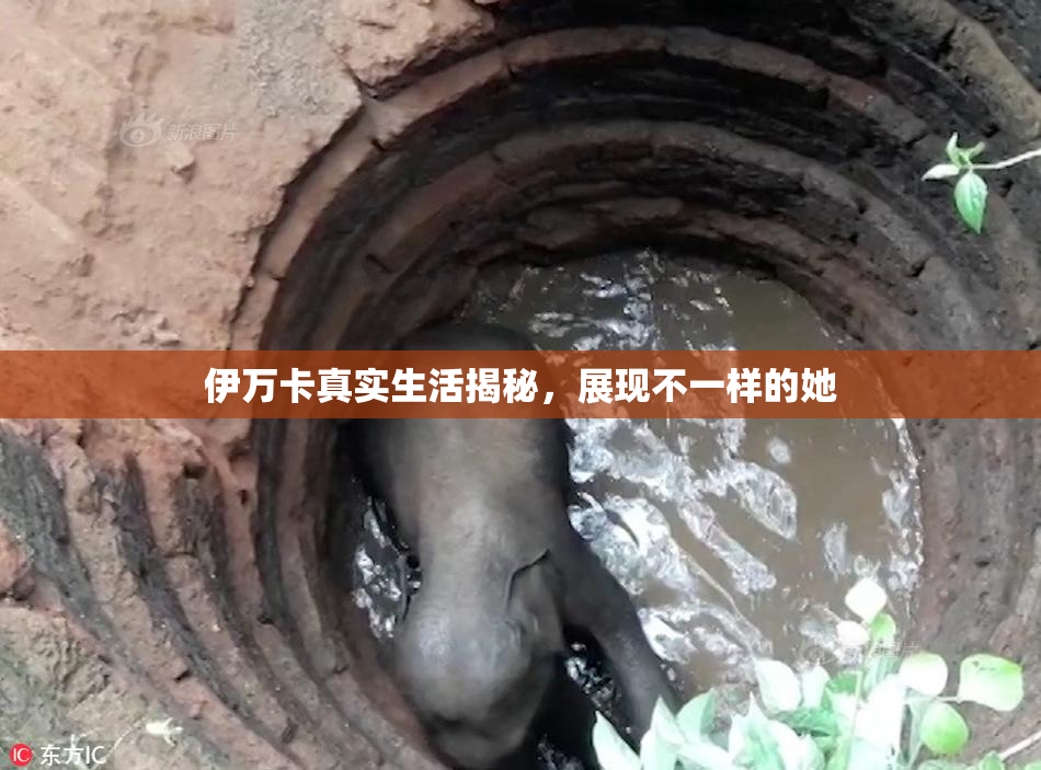 伊万卡真实生活揭秘，展现不一样的她
