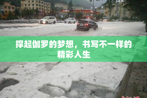 撑起伽罗的梦想，书写不一样的精彩人生