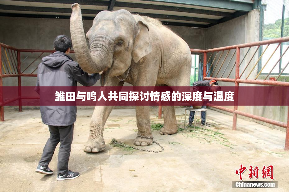 雏田与鸣人共同探讨情感的深度与温度