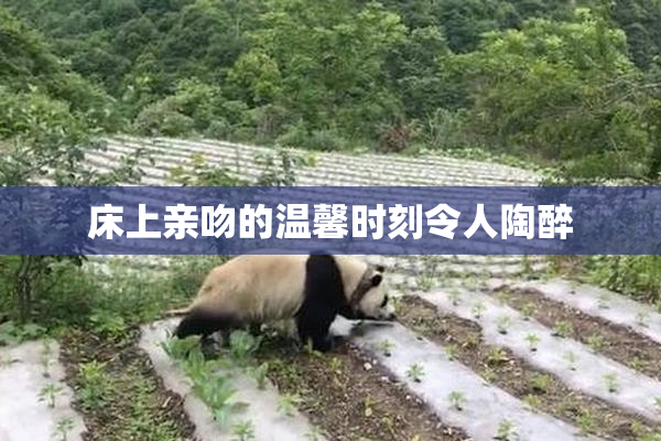 床上亲吻的温馨时刻令人陶醉