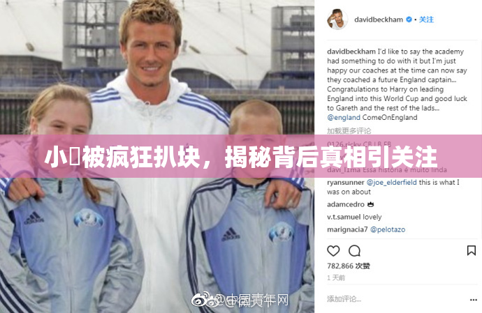 小泬被疯狂扒块，揭秘背后真相引关注