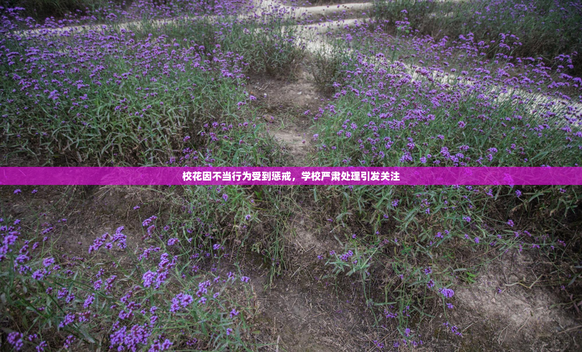 校花因不当行为受到惩戒，学校严肃处理引发关注