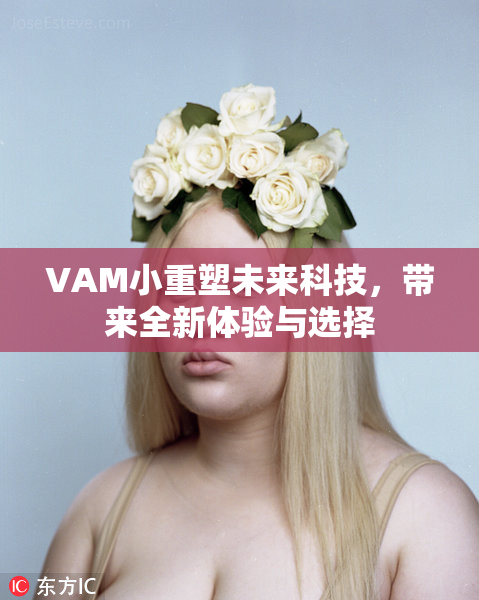 VAM小重塑未来科技，带来全新体验与选择