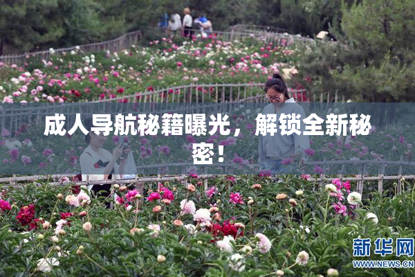 成人导航秘籍曝光，解锁全新秘密！