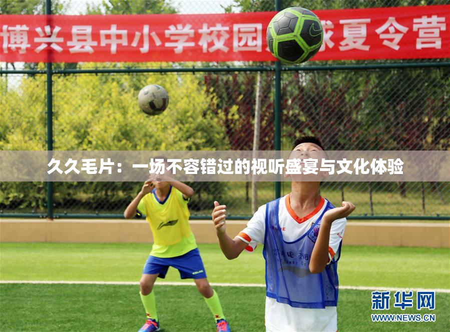 久久毛片：一场不容错过的视听盛宴与文化体验