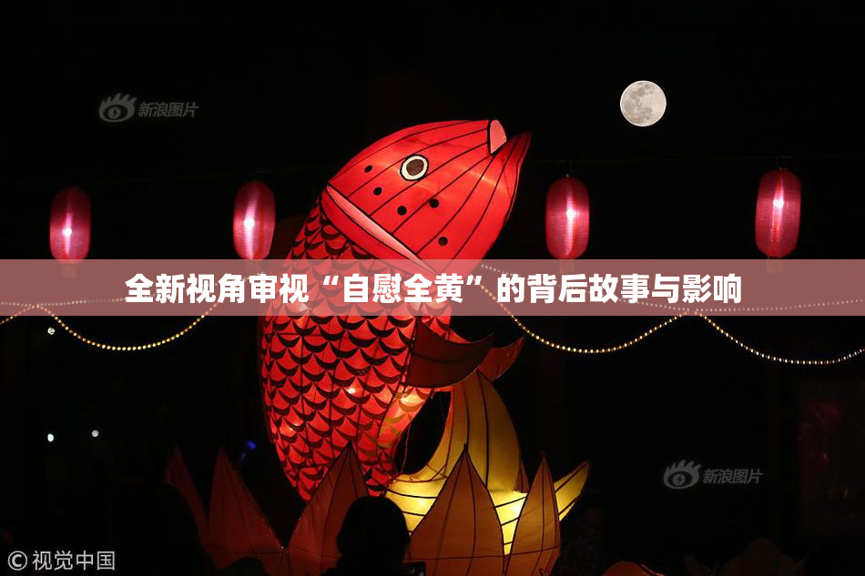 全新视角审视“自慰全黄”的背后故事与影响