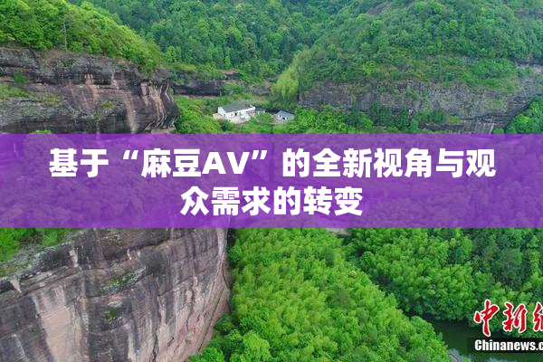 基于“麻豆AV”的全新视角与观众需求的转变