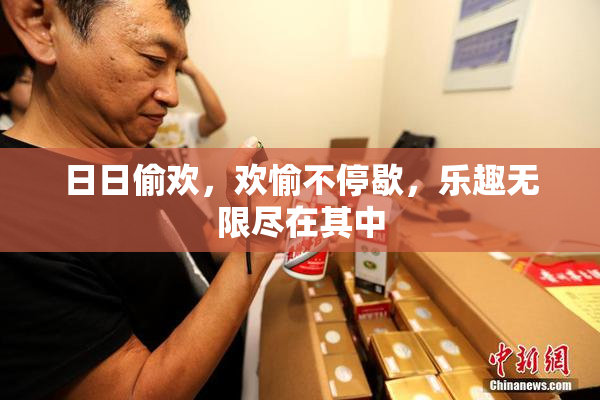 日日偷欢，欢愉不停歇，乐趣无限尽在其中