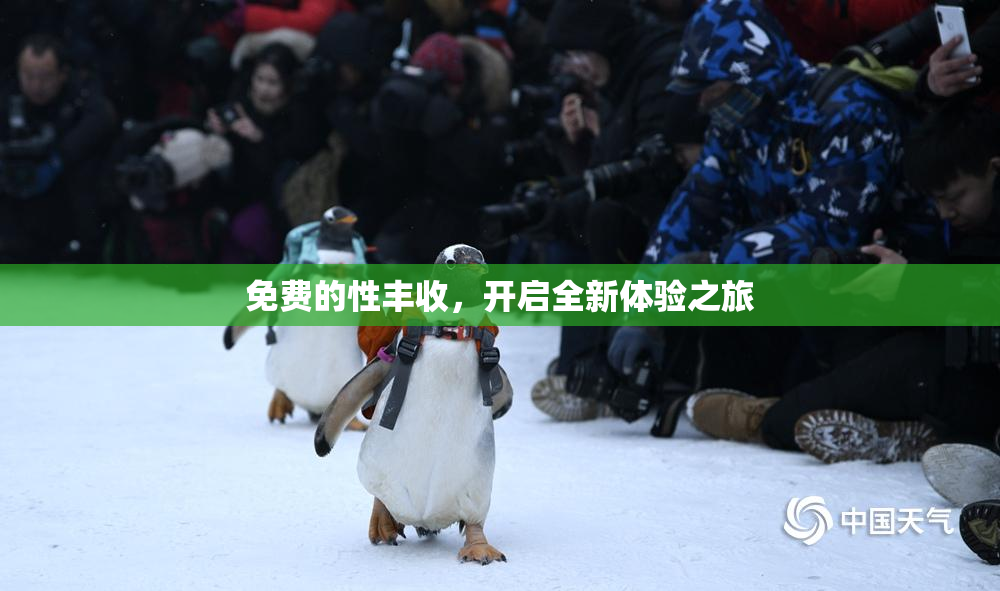 免费的性丰收，开启全新体验之旅