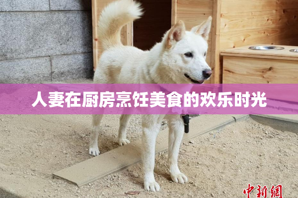 人妻在厨房烹饪美食的欢乐时光