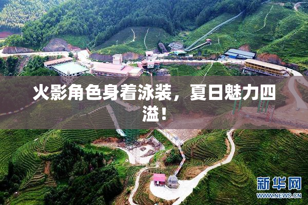 火影角色身着泳装，夏日魅力四溢！
