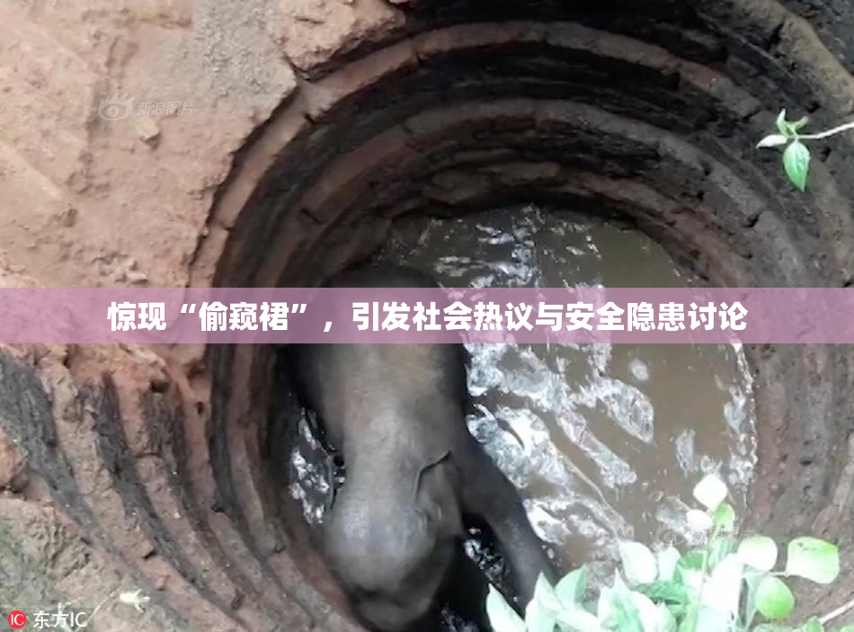 惊现“偷窥裙”，引发社会热议与安全隐患讨论
