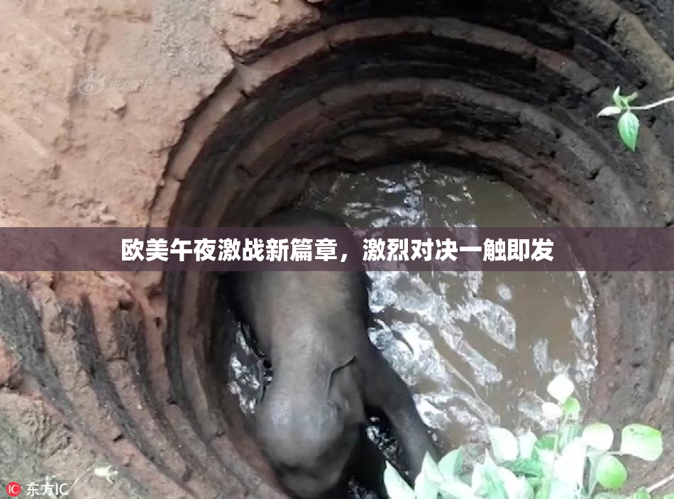 欧美午夜激战新篇章，激烈对决一触即发