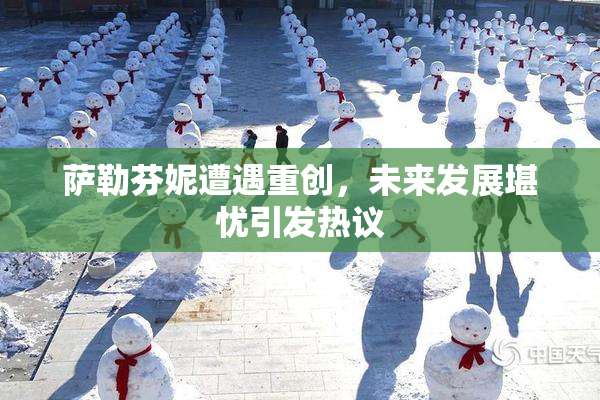 萨勒芬妮遭遇重创，未来发展堪忧引发热议