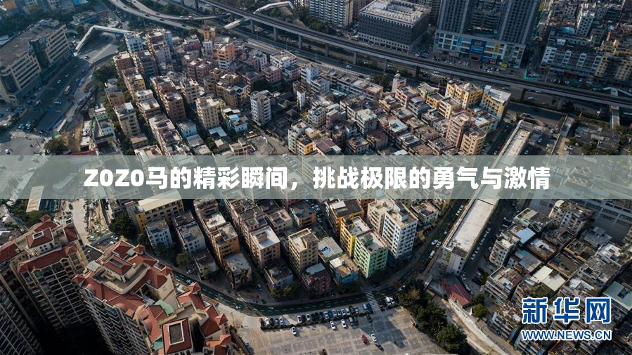 Z0Z0马的精彩瞬间，挑战极限的勇气与激情