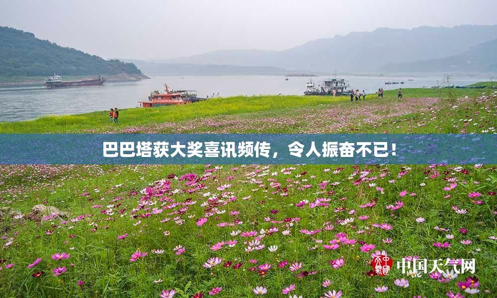 巴巴塔获大奖喜讯频传，令人振奋不已！