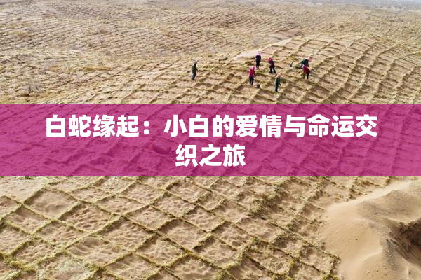 白蛇缘起：小白的爱情与命运交织之旅