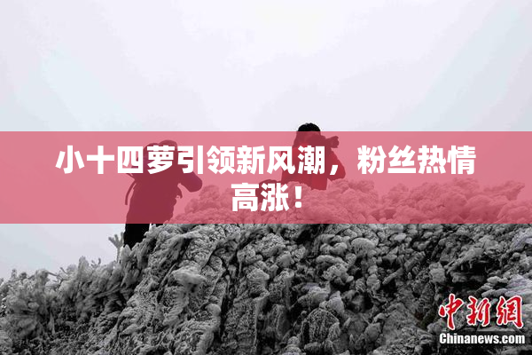 小十四萝引领新风潮，粉丝热情高涨！