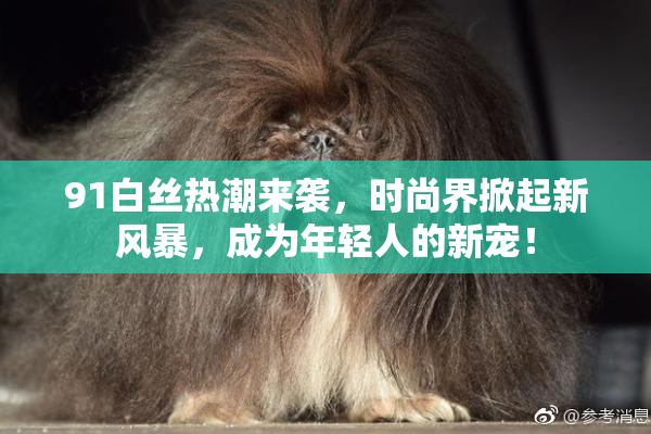 91白丝热潮来袭，时尚界掀起新风暴，成为年轻人的新宠！