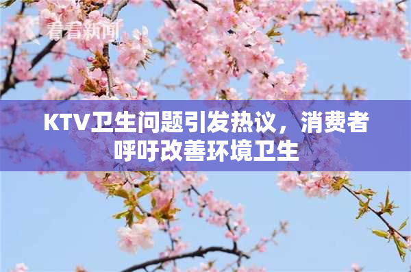 KTV卫生问题引发热议，消费者呼吁改善环境卫生
